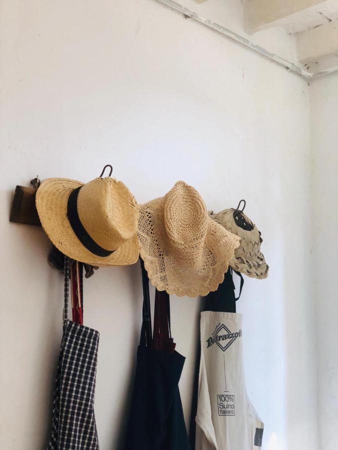 B&B Corte Vo Grande Pegognaga Dış mekan fotoğraf